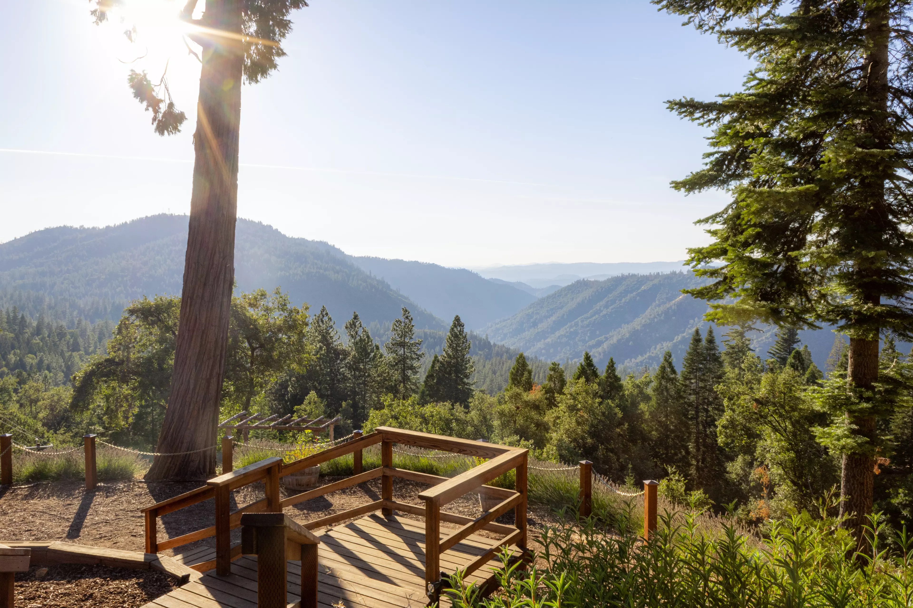 Shows the view from Sugar Pine Ridge's overlook