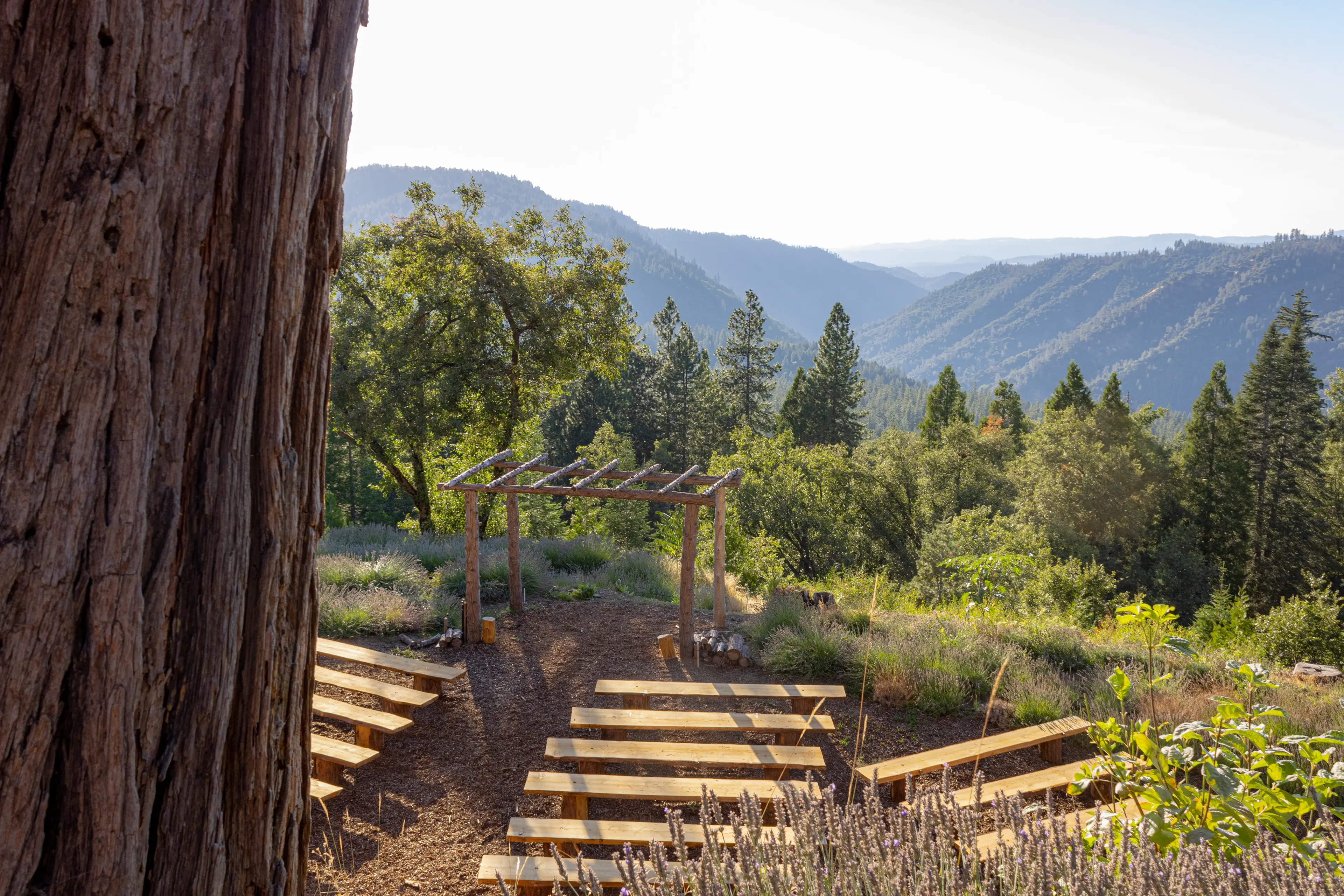 An intimate view of Sugar Pine Ridge's ceremony grounds.